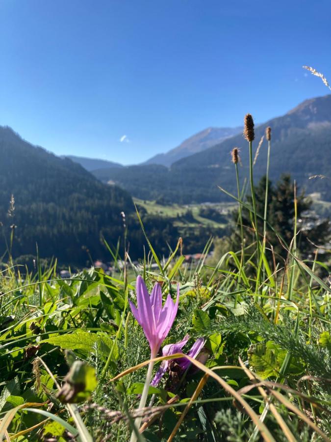 Fewo Gotschna Haus Bargis Klosters Exteriér fotografie